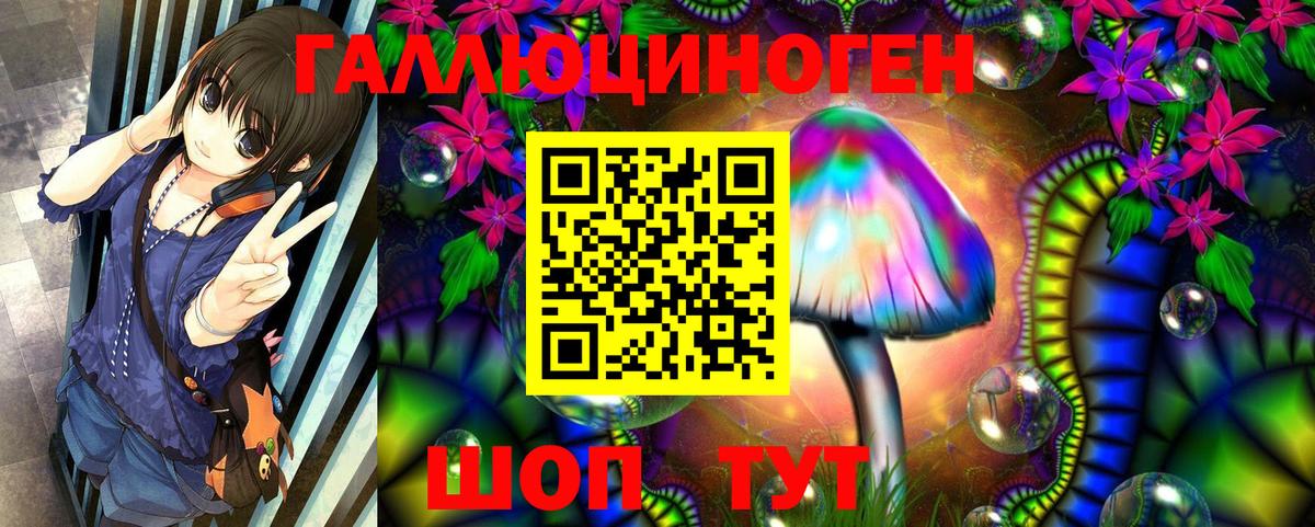 Псилоцибиновые грибы Psilocybe Краснодар