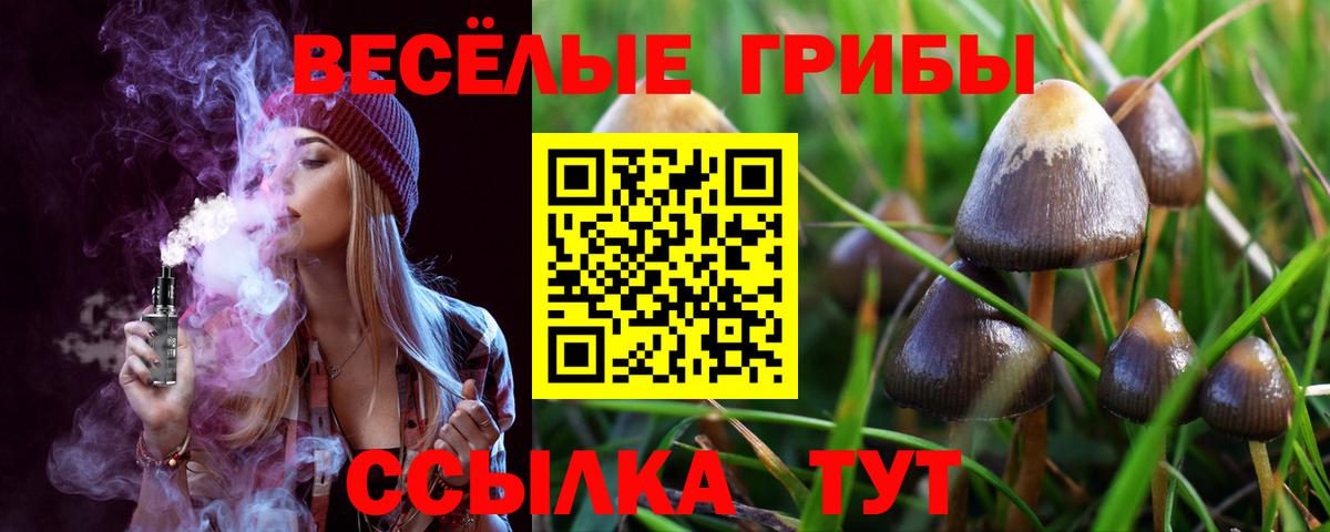 Псилоцибиновые грибы ЛСД  Псилоцибиновые грибы прущие грибы  Вход с VPN  Краснодар 